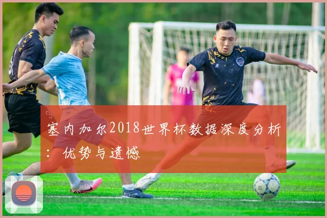 塞内加尔2018世界杯数据深度分析:优势与遗憾