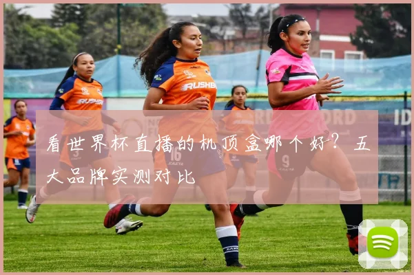 看世界杯直播的机顶盒哪个好？五大品牌实测对比