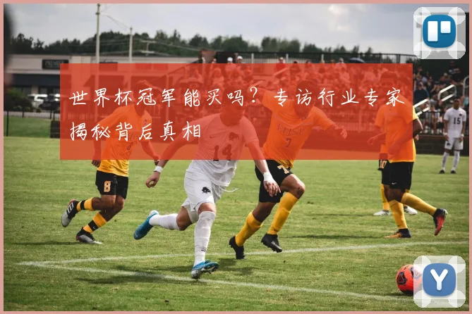 世界杯冠军能买吗？专访行业专家揭秘背后真相