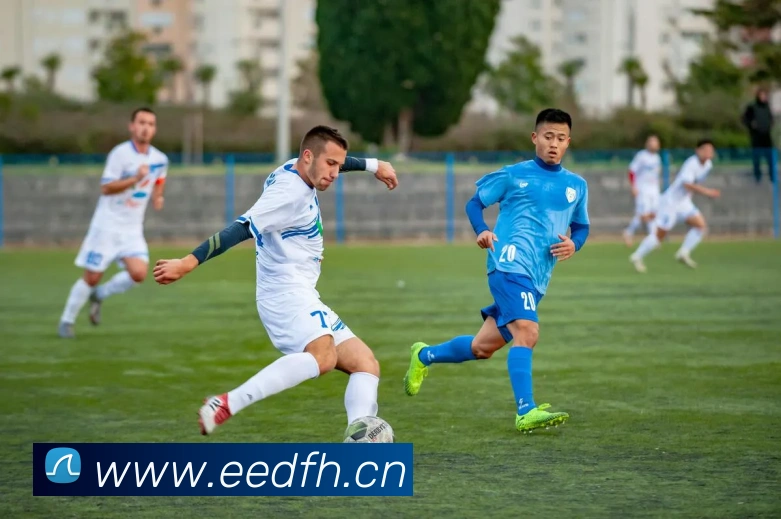 九游体育app官网入口直达服务体系